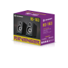 Revenger RS-163 RGB Desktop Speaker