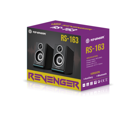 Revenger RS-163 RGB Desktop Speaker