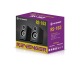Revenger RS-163 RGB Desktop Speaker