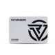 Revenger R400 256GB  Sata SSD
